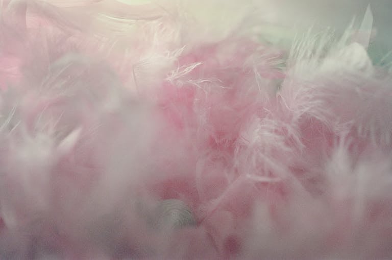 Dreamy close-up of soft pink feathers creating a gentle and fluffy texture.